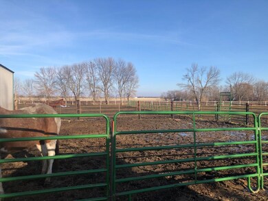 pasture 2