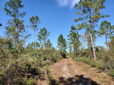0 County Line Rd unit 19597151, Lee, FL 32059 - photo 5