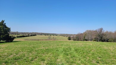 unlisted-address, Paragould, AR 72450 - photo 3