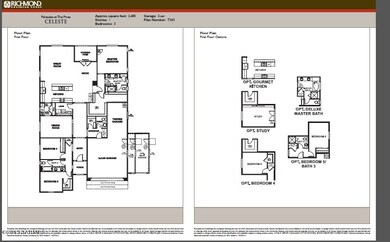 Celeste Floor Plan