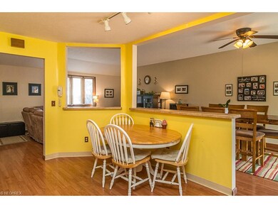 9795 Tannery Way, Olmsted Falls, OH 44138 - photo 7