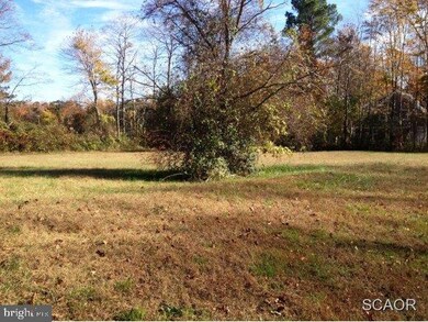 0 Chandler St unit 1001000556, Milton, DE 19968 - photo 2