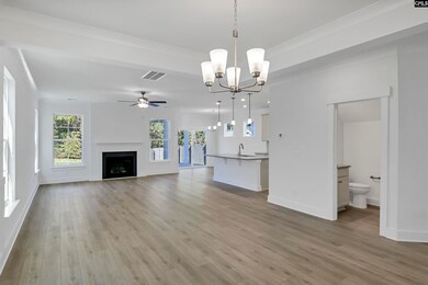 623 Thunder Gulch Ave, Lexington, SC 29073 - photo 5