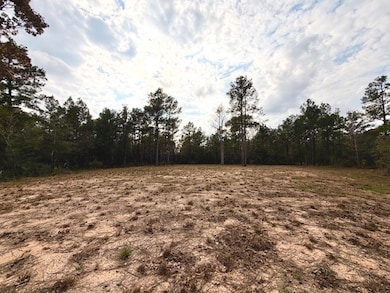 7629 Trinity Pines Dr, Montgomery, TX 77316 - photo 4