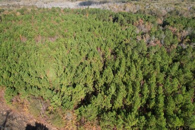 TBD Fm 1650, Gilmer, TX 75645 - photo 7