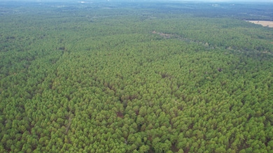 0 Beach Rd, Purvis, MS 39475 - photo 7