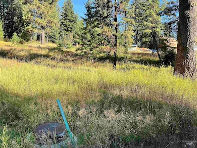 20 Andy, Donnelly, ID 83638 - photo 3