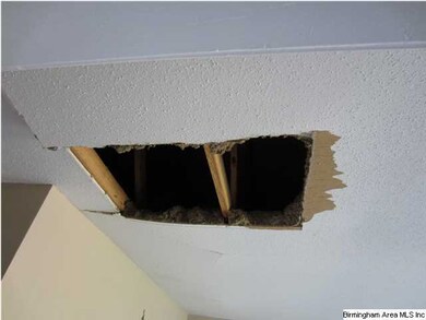 living room ceiling