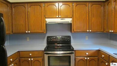 6321 Maxwell Rd, Bastrop, LA 71220 - photo 6