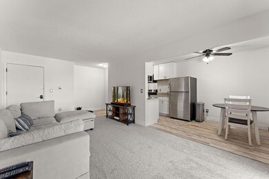 4407 Wilshire Blvd unit 204, Mound, MN 55364 - photo 6