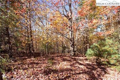 Beautiful Building Site With Incredible WNC 
Views Once Cleared!