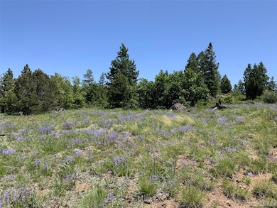 000 Peak View Ridge unit 6, Canon City, CO 81212 - photo 2