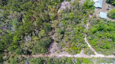 0 McMyers Ln, Crawfordville, FL 32327 - photo 3