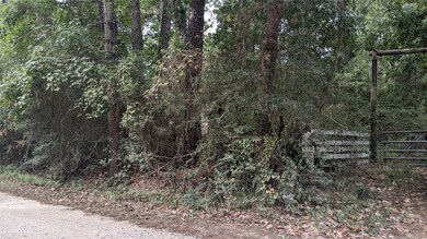 23403 Cardinal Dr, Hockley, TX 77447 - photo 4