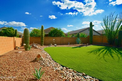 back yard
