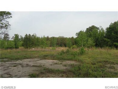 19120 Halligan Park Rd, Carson, VA 23830 - photo 5