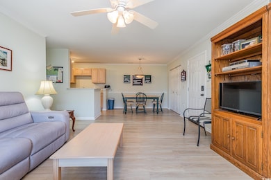 Living room with light wood-type flooring, ceiling