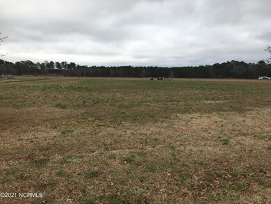 173 Catnip Point Rd, Bath, NC 27808 - photo 3