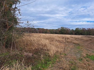 01 Muldoon Dr, Summerton, SC 29148 - photo 3