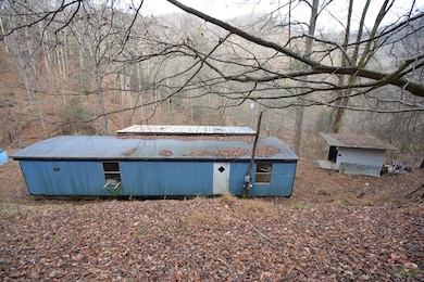 1067 Red Dog Rd, Grundy, VA 24614 - photo 5