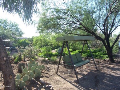 Swing in the front yard