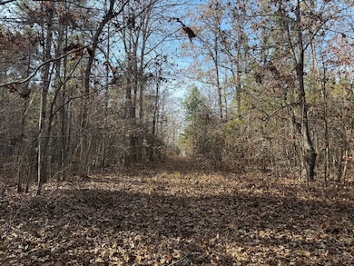 3141 Rdebuck Rd, Preston, MS 39354 - photo 5