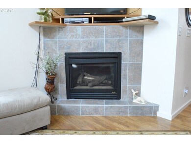 Fireplace Gas