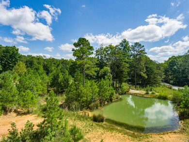 00 Falling Water Rd, Cookeville, TN 38506 - photo 2