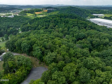 Lot 56 Blue Byrd Ln, Kodak, TN 37764 - photo 7