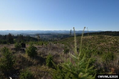 22000 Highway 47 (Block), Gaston, OR 97119 - photo 5