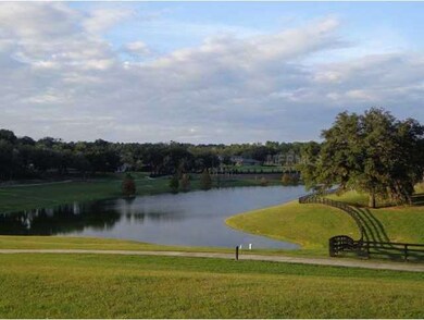 21805 Belgian Ct, Mount Dora, FL 32757 - photo 3