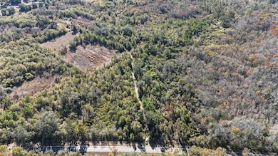 5000 NW Little Cat Rd, Madison, FL 32340 - photo 3