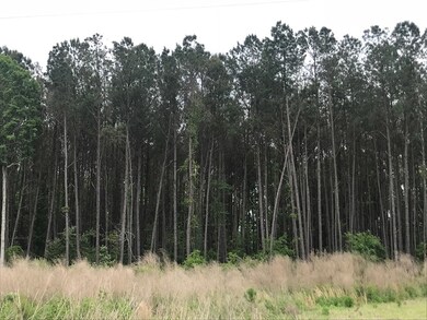 00 Coffee Rd, Thomasville, GA 31757 - photo 2