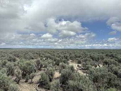 0 Kna Lost Forest Ln unit 4700, Christmasvalley, OR 97641 - photo 7