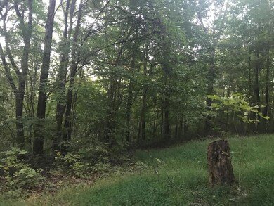 view of wooded land