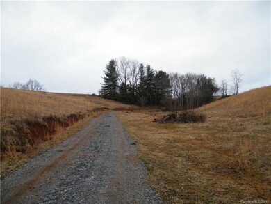 12.406 acres Turkey Creek Rd, Leicester, NC 28748 - photo 6