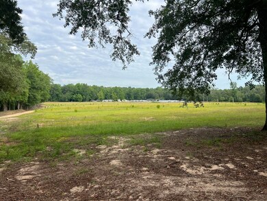 830 Colbert Bridge Rd, Windsor, SC 29856 - photo 6