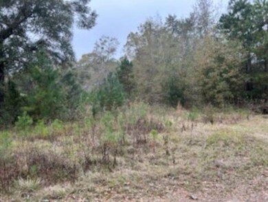 0 Moccasin Gap Rd unit 393441, Tallahassee, FL 32309 - photo 5