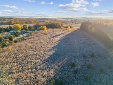 0 Cook Rd, Hector, NY 14886 - photo 4