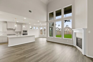 32465 Soaring Willow Way, Shenandoah, TX 77385 - photo 7