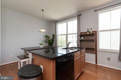 16767 Blackjack Oak Ln unit 315, Woodbridge, VA 22191 - photo 6