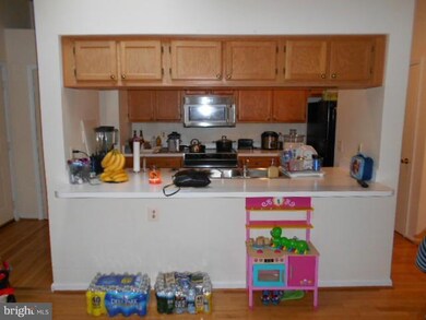 14201 Wolf Creek Place unit 1124, Silver Spring, MD 20906 - photo 4