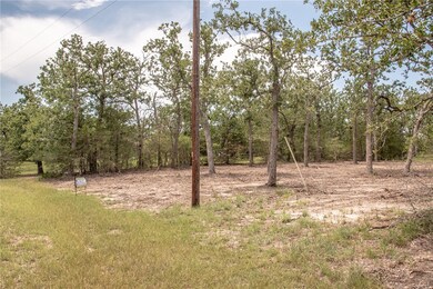 View of local wilderness