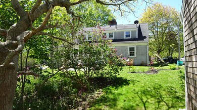 lilacs back of front home