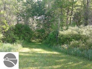 N/A Tonkey Rd, Turner, MI 48765 - photo 2
