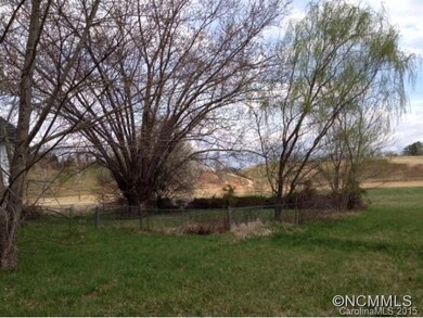 2511 New Leicester Hwy, Leicester, NC 28748 - photo 3