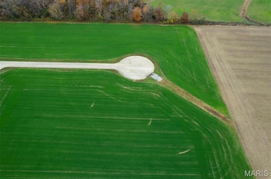 340 Bertha E Dumey Dr, Benton, MO 63736 - photo 2