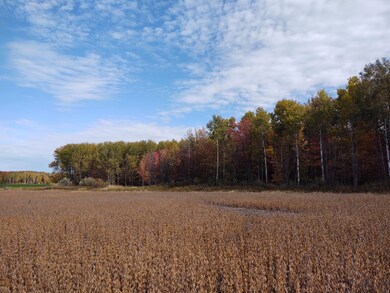 IMG_20201013_112450755