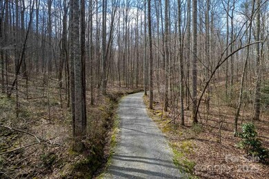 Lot 11 Stone Pillow Rd unit 11, Tuckasegee, NC 28783 - photo 3