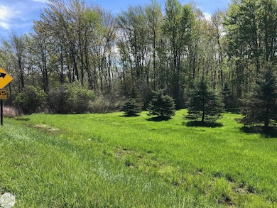 0 Meisner Rd unit 50142718, East China, MI 48054 - photo 3